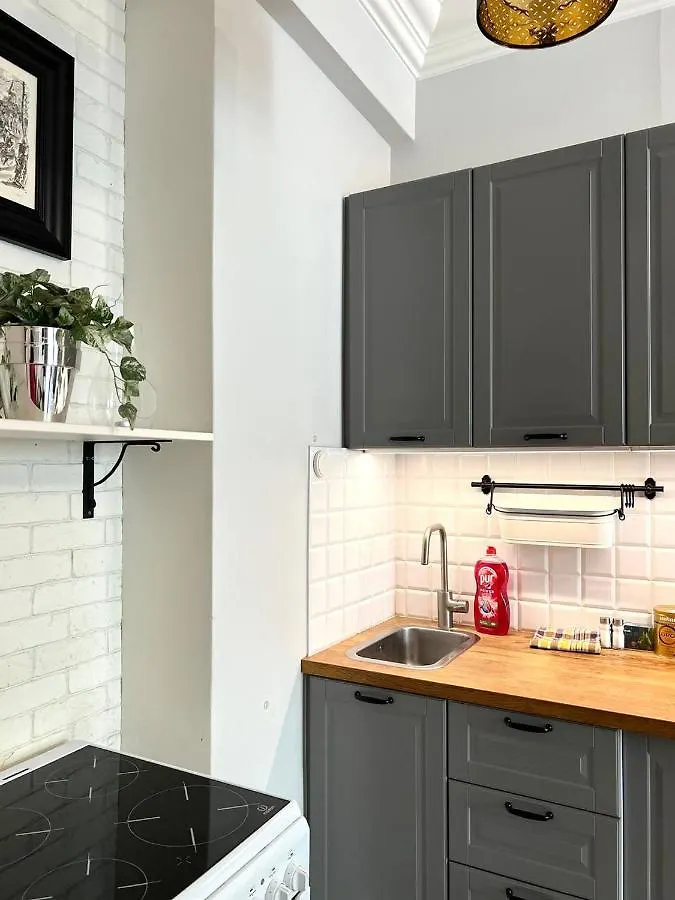 Top Apartment In The Centre Of Warsaw, Wi-Fi - By Hik Apartments  Warsaw